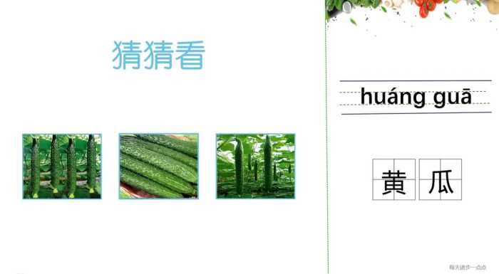 69汉语应用蔬菜篇：黄瓜 菜瓜 瓠瓜常见蔬菜发音与文字教程